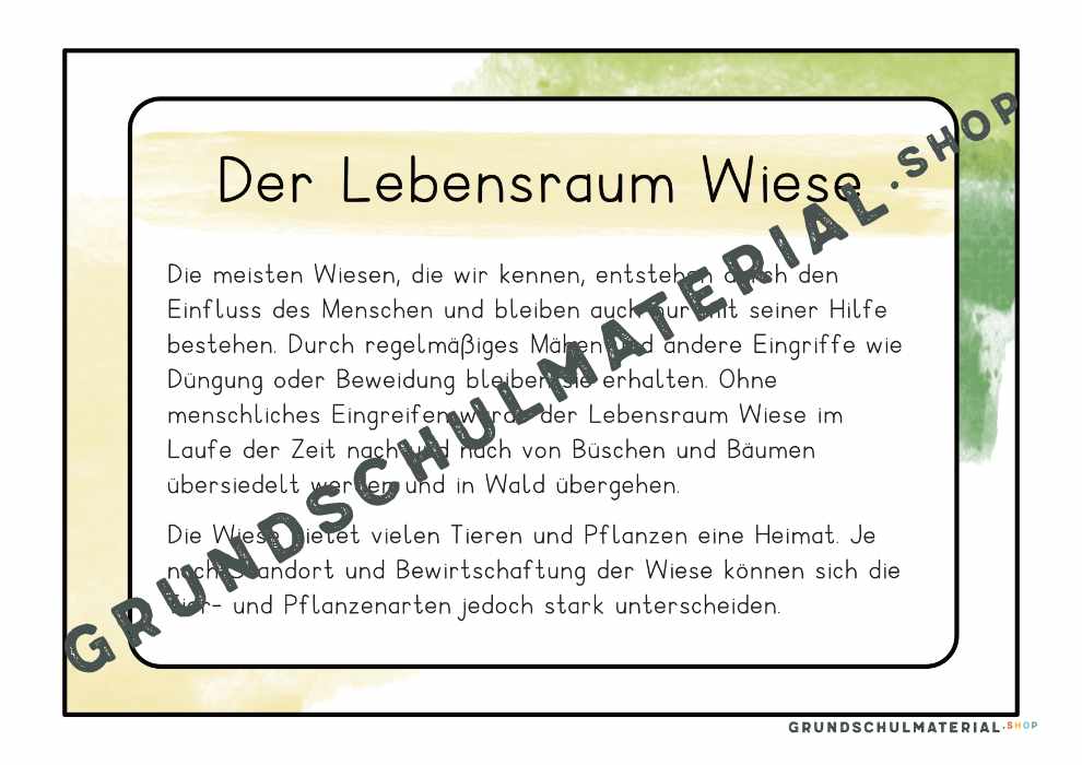 Materialpaket "Lebensraum Wiese"