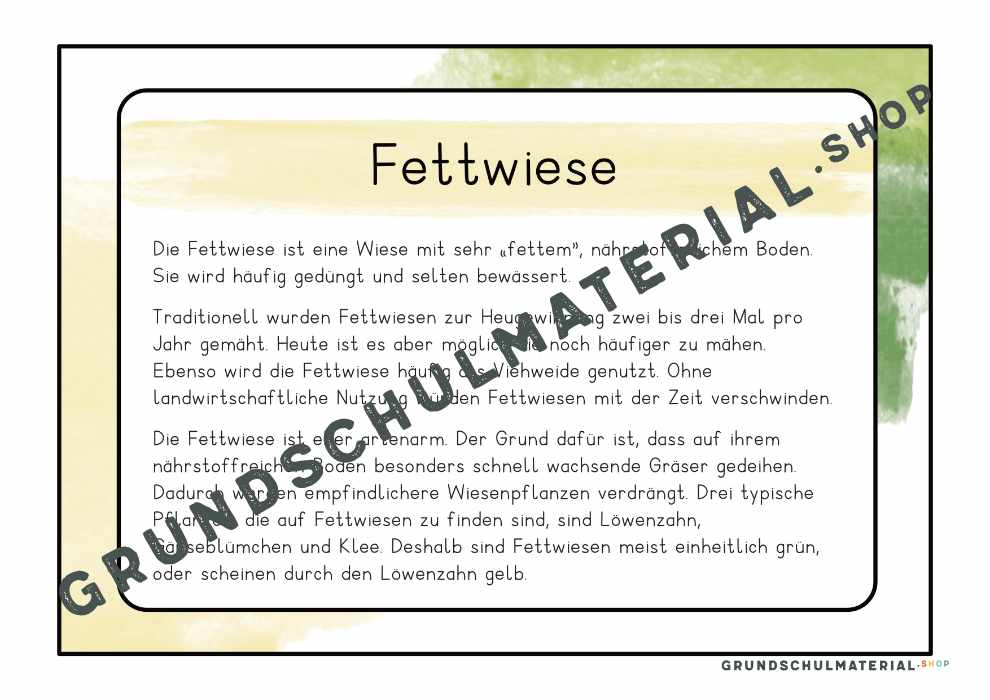 Materialpaket "Lebensraum Wiese"