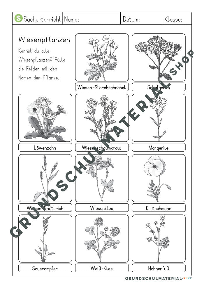 Materialpaket "Lebensraum Wiese"