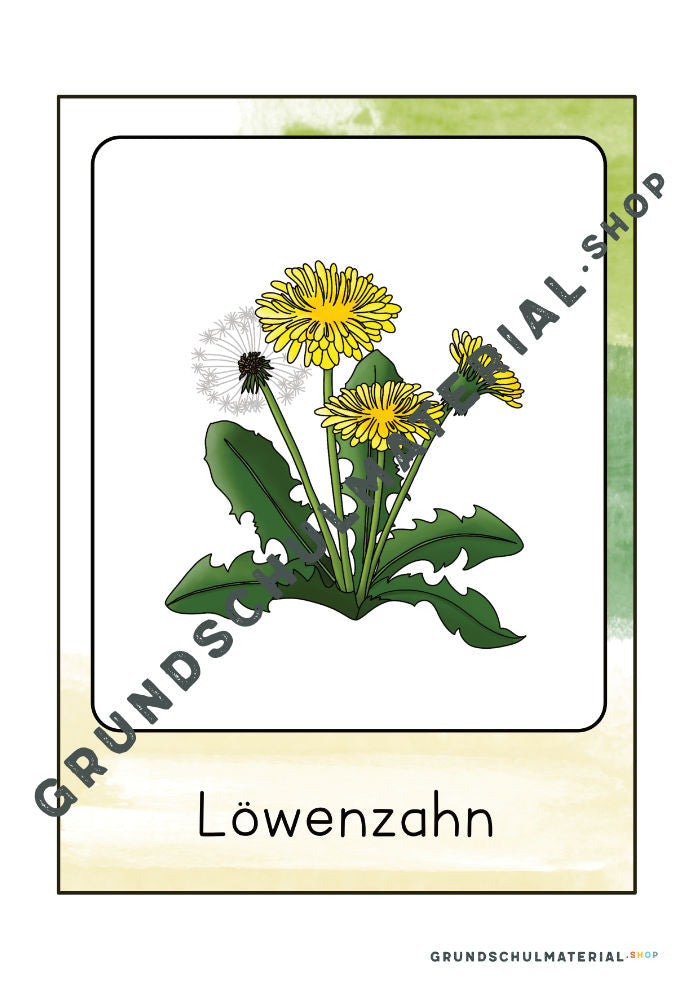 Materialpaket "Lebensraum Wiese"
