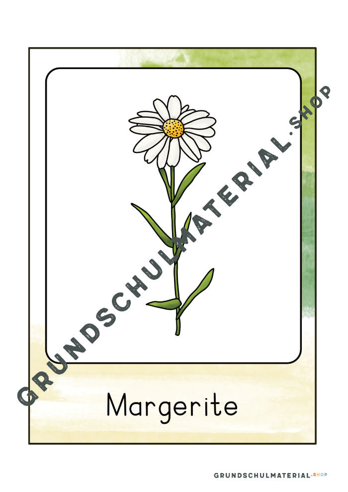 Materialpaket "Lebensraum Wiese"