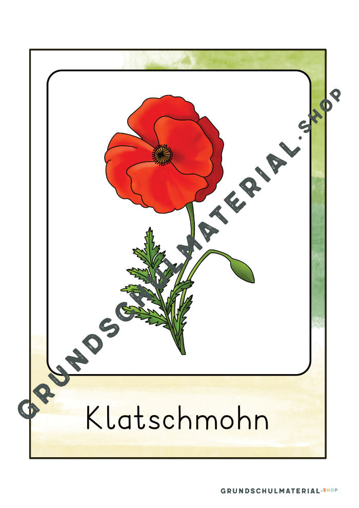 Materialpaket "Lebensraum Wiese"