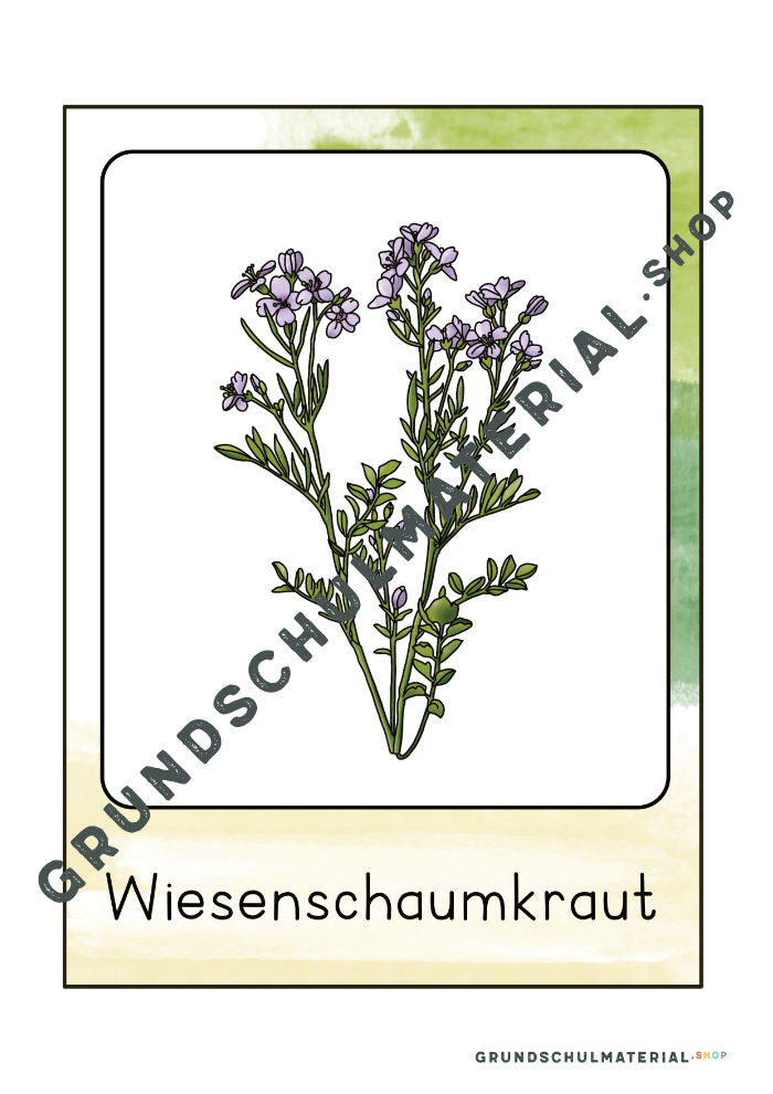 Materialpaket "Lebensraum Wiese"