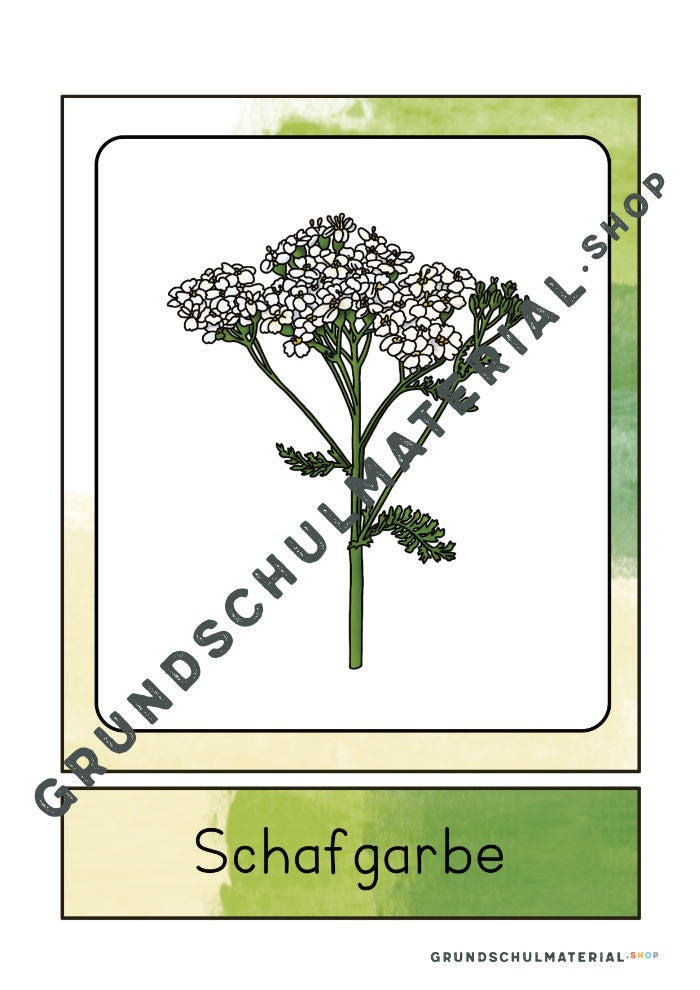 Materialpaket "Lebensraum Wiese"
