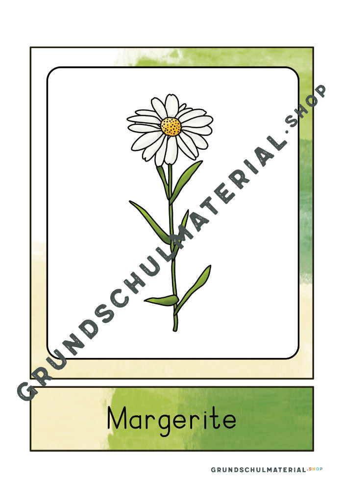 Materialpaket "Lebensraum Wiese"