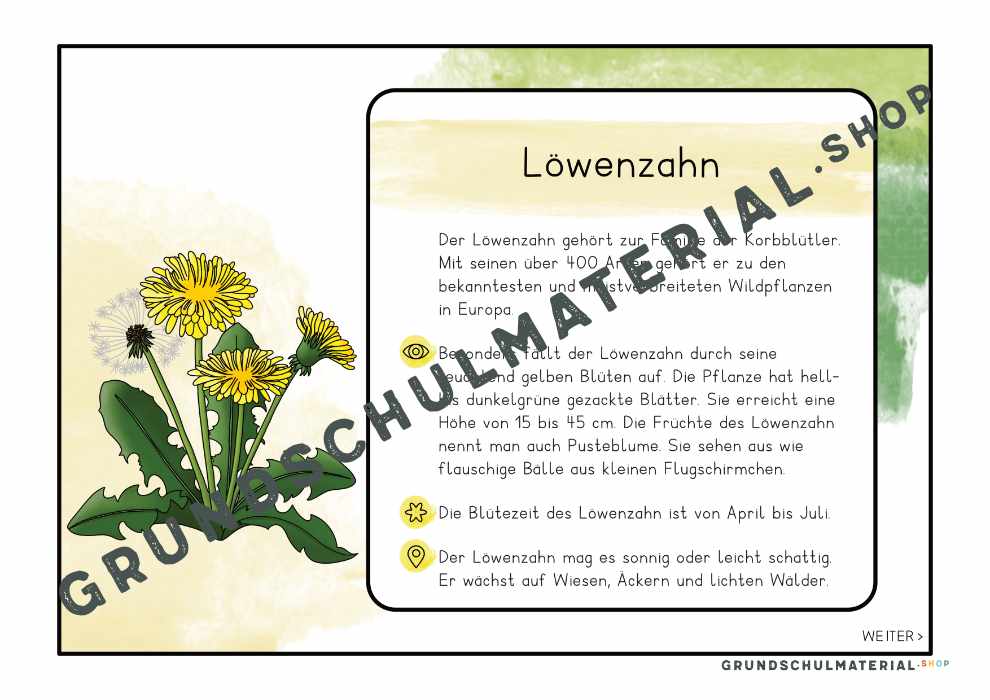 Materialpaket "Lebensraum Wiese"