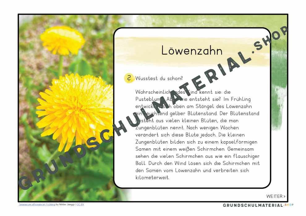 Materialpaket "Lebensraum Wiese"
