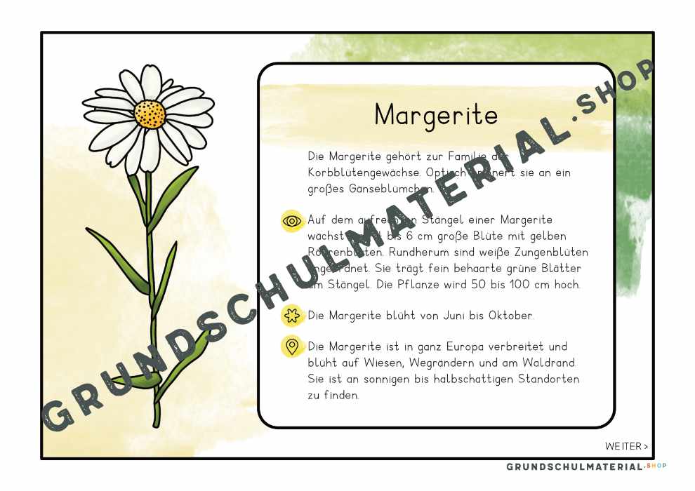 Materialpaket "Lebensraum Wiese"