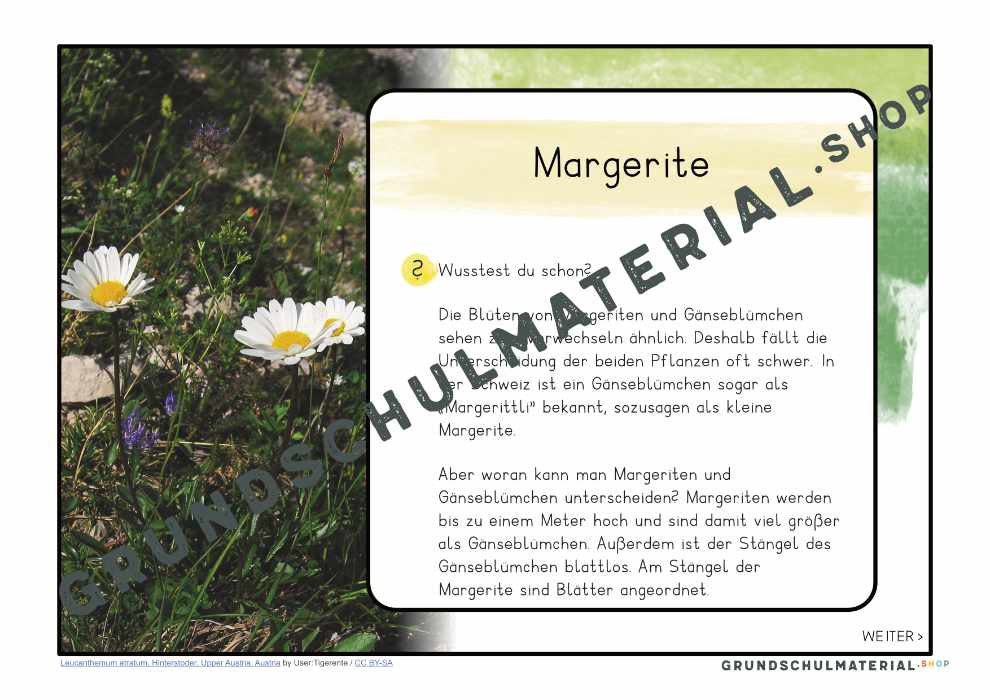 Materialpaket "Lebensraum Wiese"