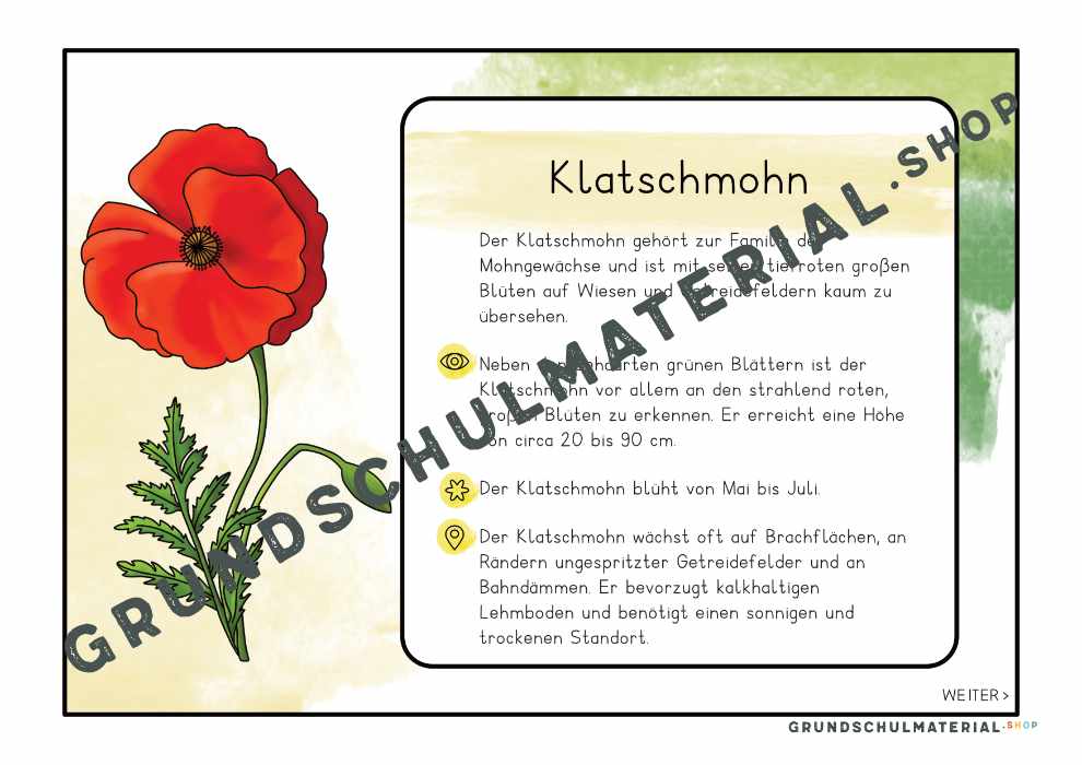 Materialpaket "Lebensraum Wiese"