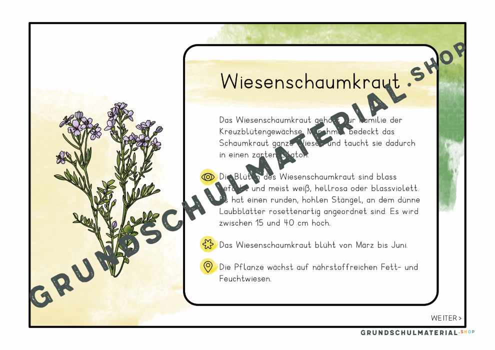 Materialpaket "Lebensraum Wiese"