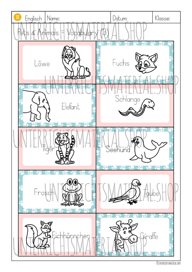 Vokabel-Lern-Karten Pets & Animals