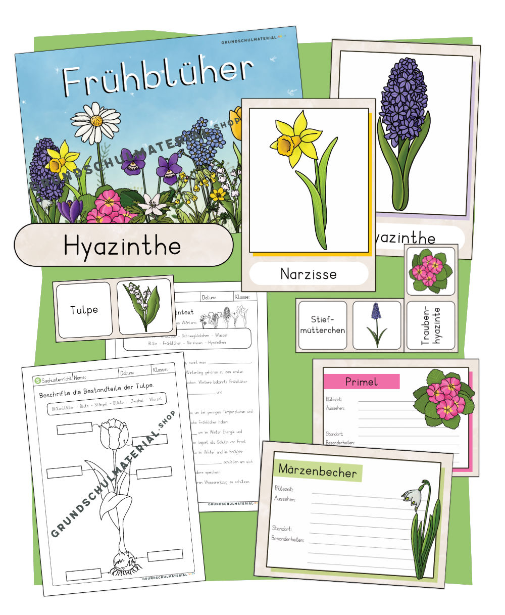 Materialpaket Frühblüher