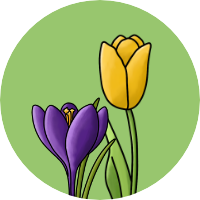Frühblüher