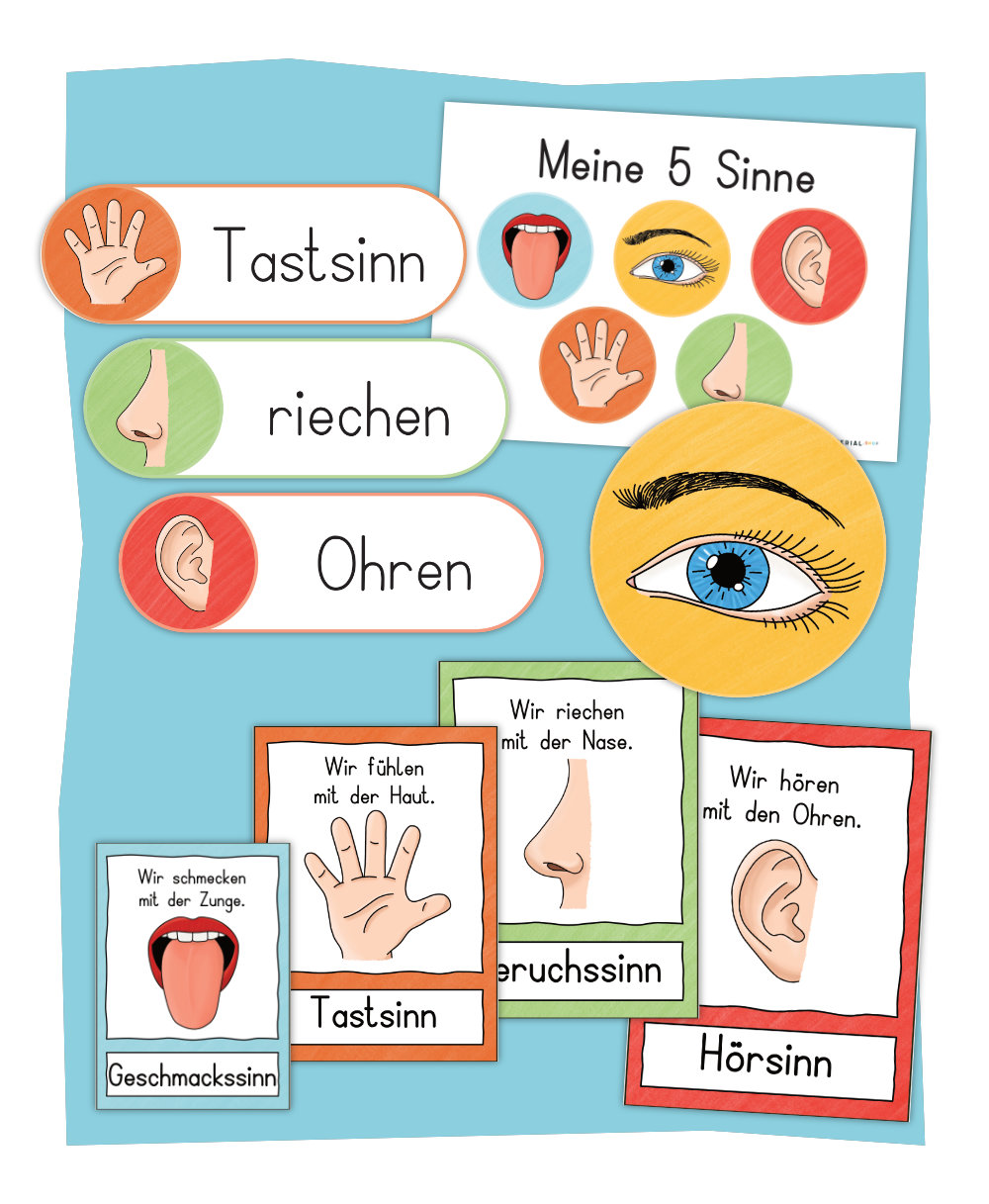 Bildkarten Und Tafelmaterial Zu Den F nf Sinnen bildkarten-und-tafelmaterial-zu-den-f-nf-sinnen